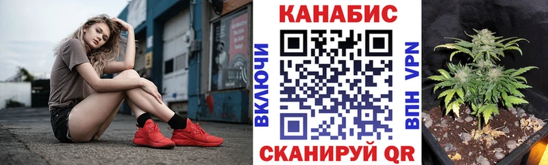 Бошки марихуана SATIVA & INDICA  Заводоуковск 